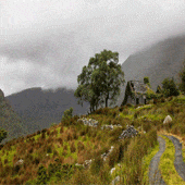 mountain